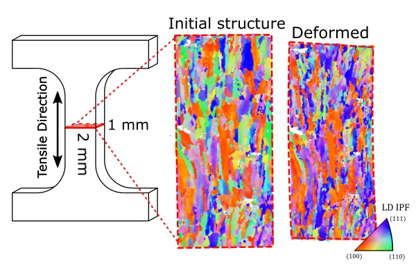 IPF orientation map of a burried layer of a tensile speciment of 3D printed TWIP steel before and after deformation.