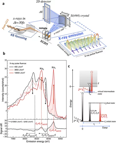 Szlachetko 2016 SR.jpg