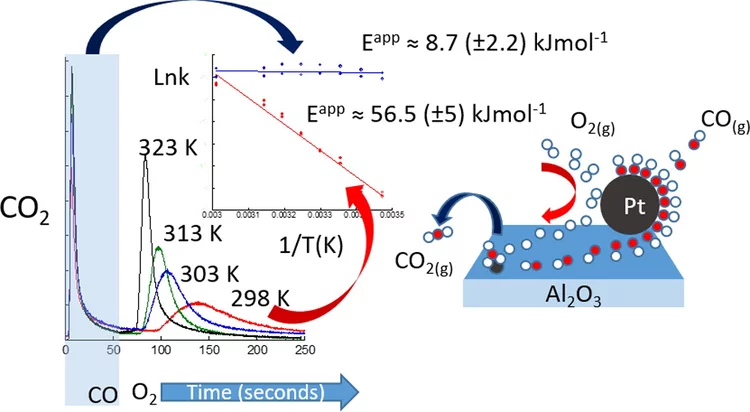 Newton 2016 JACS.jpg