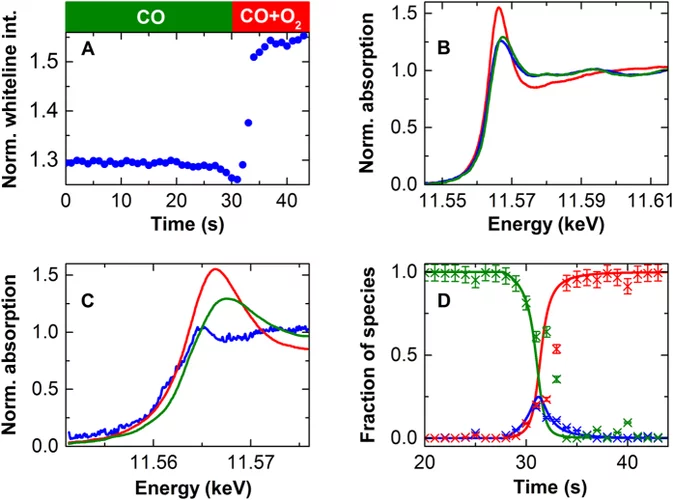 Hartfelder 2016 SciRep.jpg