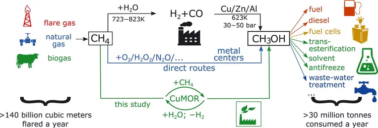 Sushkevich 2017 Science.jpg