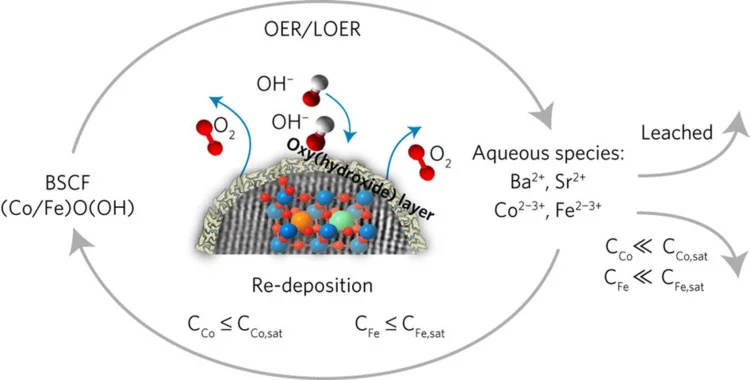 Fabbri 2017 NatMat.png