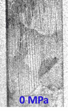 applphyslett108.gif