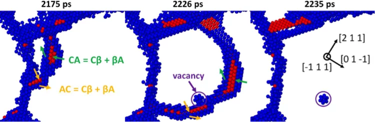 Simulated strain distribution in a polymer reinforced Al cruciform sample subjected an equibiaxial load