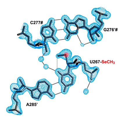 Olieric graph.png