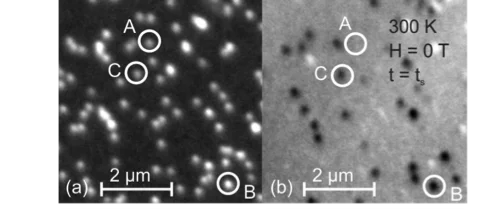 Elemental and magnetic contrast images in the initial state before the magnetic field is applied