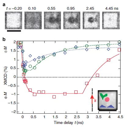 Magnetization dynamics inside a 5 µm x 5 µm structure.(a) Time-resolved PEEM images using XMCD as a magnetic contrast mechanism recorded at a given time delay t after the laser pulse and (b) extracted XMCD contrast as a function of the time delay t for three different ROI, defined in the inset image by the coloured area superimposed on the non-dichroic X-ray absorption of the structure. The 0° incoming laser direction with respect to the structure edge is indicated in the inset by the laser in-plane wave v…