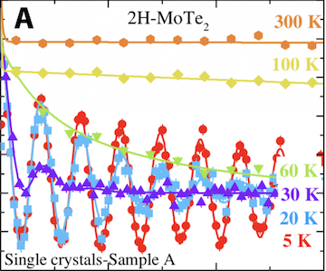 Magnetism in semiconducting molybdenum dichalcogenides